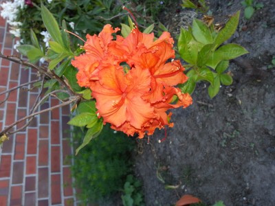 20140502_192314.jpg