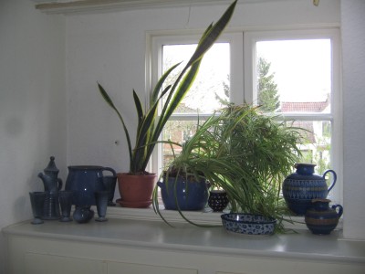 Grünlilie 004.JPG