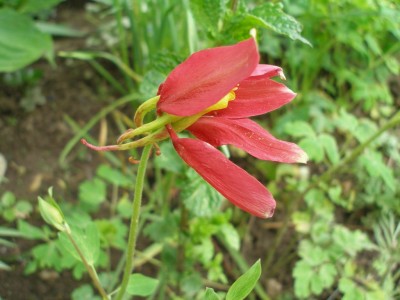 P5100002-k.jpg