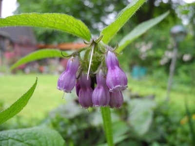 k-DSCN5763.JPG