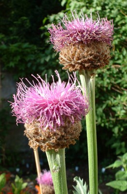 Bild 1.jpg