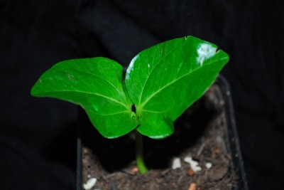 Frühling14 092pp.jpg