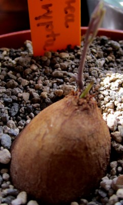 Frühling 2014 2 462.jpg