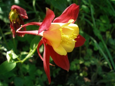 P5200001-k.jpg
