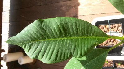 20140524_101616.jpg