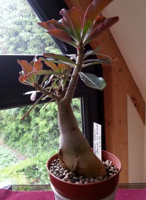 20140523_144518.jpg