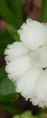 Raetsel201416.jpg
