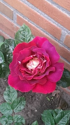IMAG0693.jpg