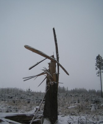Sauerland Ende Oktober 082.jpg