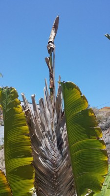 k-20140531_133747.jpg