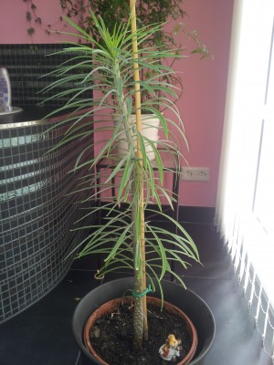 20140601_103838.jpg