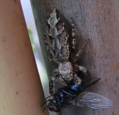 Frühling 2014 3 121.jpg