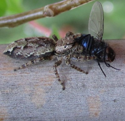 Frühling 2014 3 119.jpg