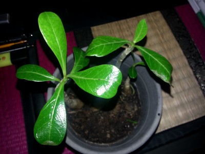 20140609_221326.jpg