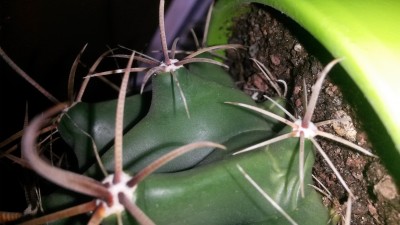 20140610_083053.jpg