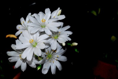 Frühling14 167pp.jpg