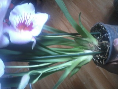 2014-06-14 12.28.33.jpg