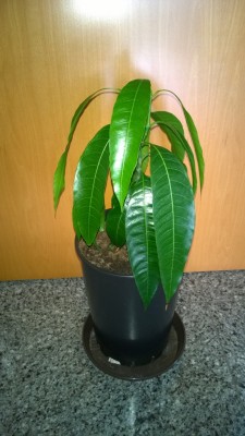 WP_20140614_017.jpg