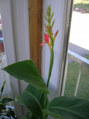 DSCN3191.JPG