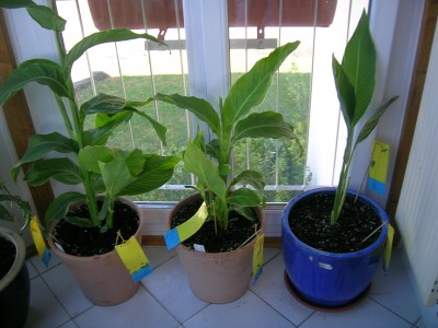 DSCN3192.JPG