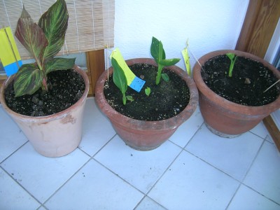 DSCN3193.JPG