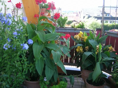 DSCN3194.JPG