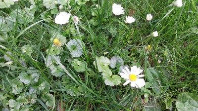 20140616_184058.jpg
