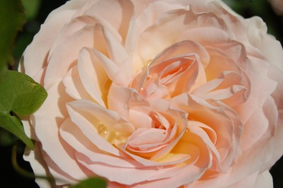 DSC_0752.JPG
