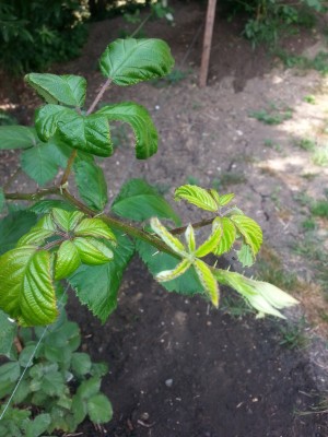 20140616_163307.jpg
