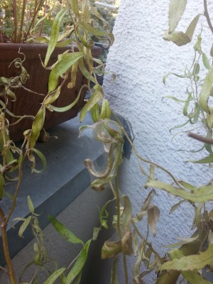 20140618_072818.jpg