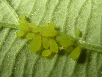 P1130001.JPG