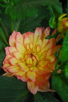 Frühling14 230pp.jpg