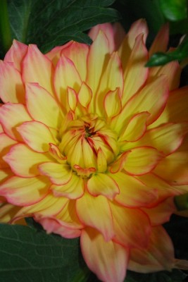 Frühling14 231pp.jpg