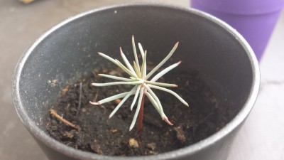 20140622_195934.jpg