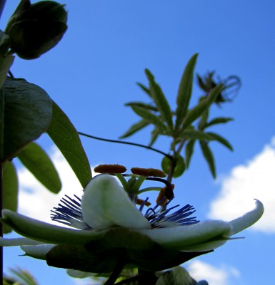 Sommer2014 202.jpg