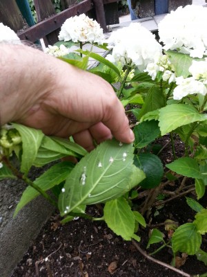 20140624163437226.jpg