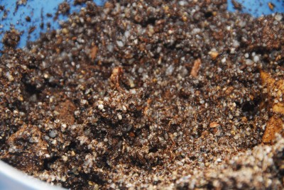 DSC_0524_Torf_Sand.jpg