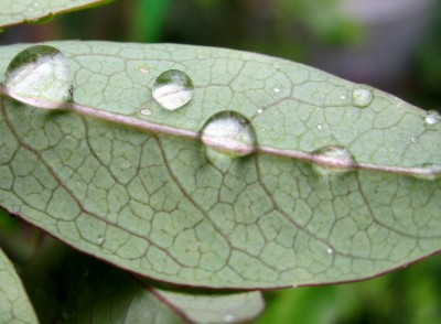 Sommer2014 1 036.jpg