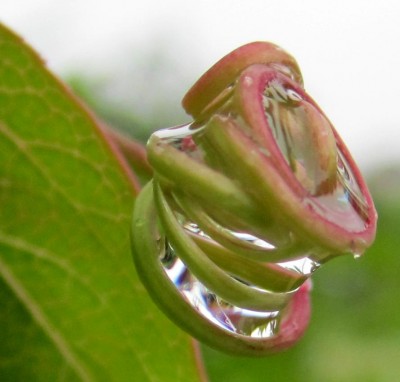 Sommer2014 1 031.jpg