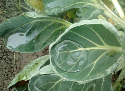 2013-11-13 12.23.21.jpg