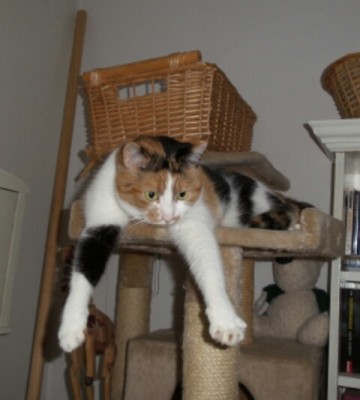 2014-04-10 16.43.52.jpg