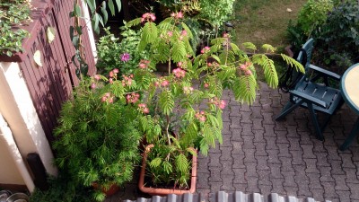 DSC_6230a.jpg