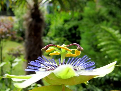 Sommer2014 1 058.jpg