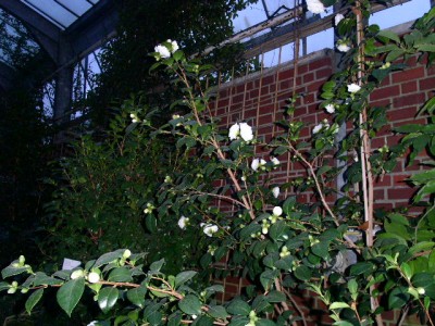 PICT0155.JPG