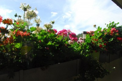 Sommer14 020pp.jpg