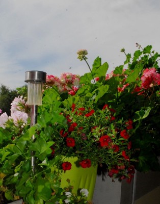 Sommer14 022pp.jpg