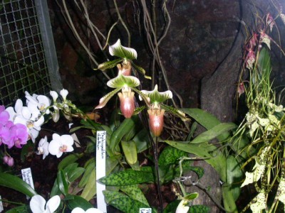 PICT0116.JPG