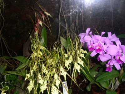 PICT0115.JPG
