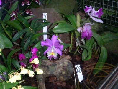 PICT0114.JPG