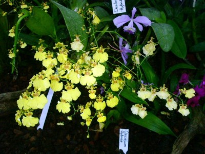 PICT0113.JPG